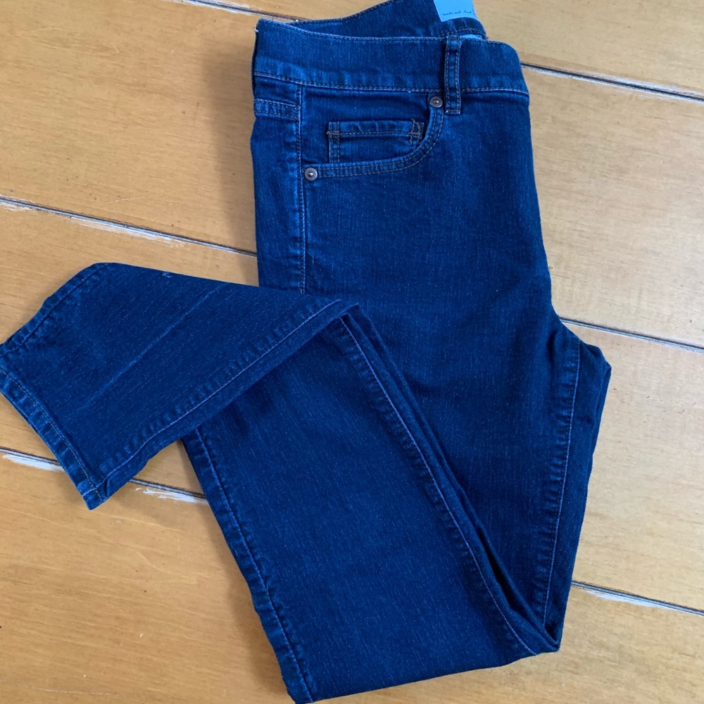 LOFT Modern Skinny Denim